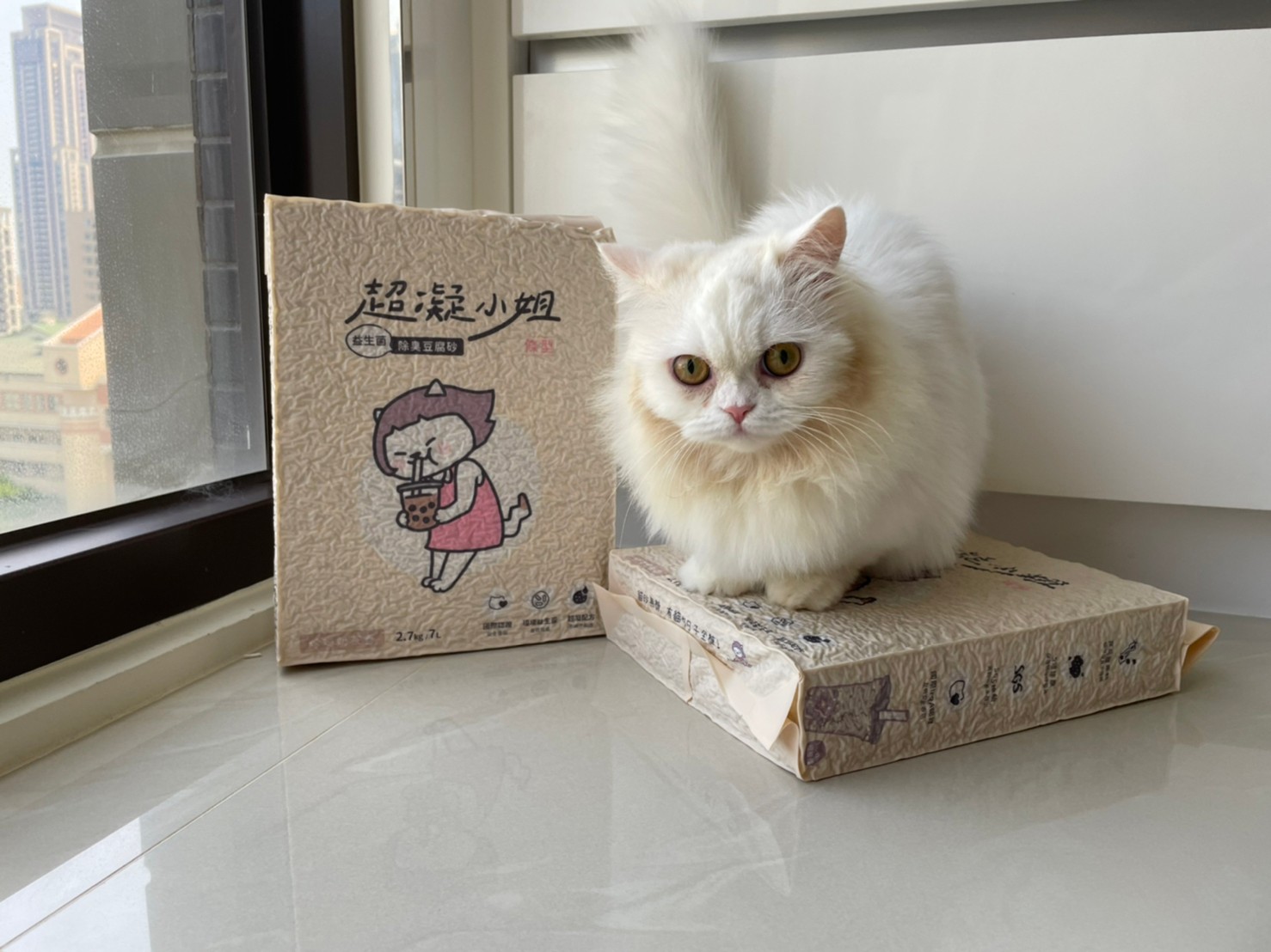 line album 2022920 220920 12