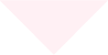 219043