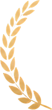 L 1 1